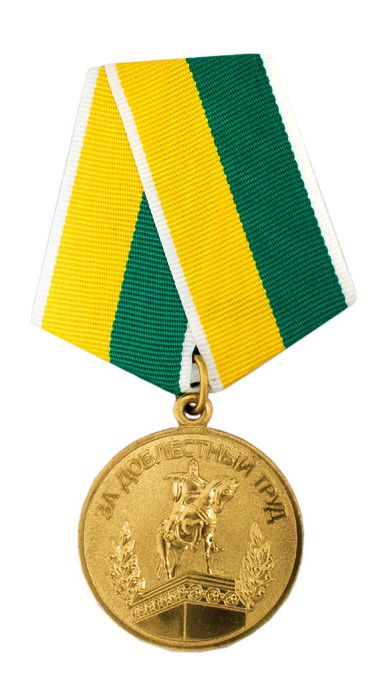Медаль «За доблестный труд» от Правительства Москвы. 2007 г.